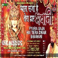 Pyara Saja Hai Tera Dwaar Bhawani JhanJhanBass MalaaiMusicChiraiGaonDomanpur.mp3